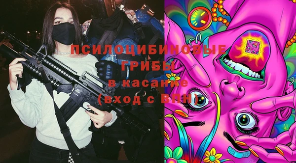 ПСИЛОЦИБИНОВЫЕ ГРИБЫ Пересвет