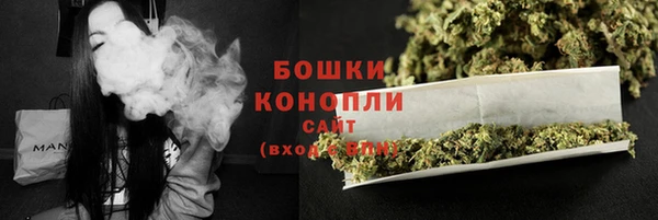 гашик Пестово