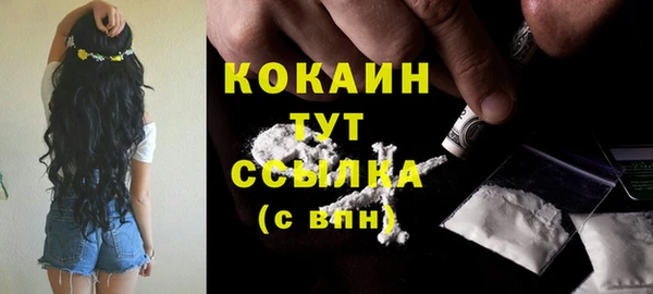 гашик Пестово