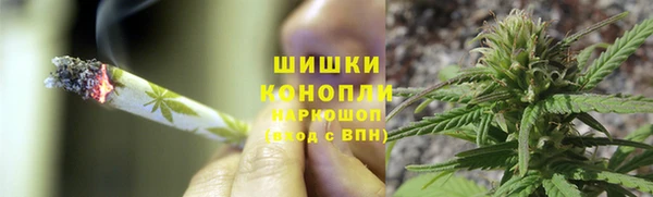 гашик Пестово