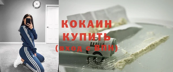 сатива Осинники
