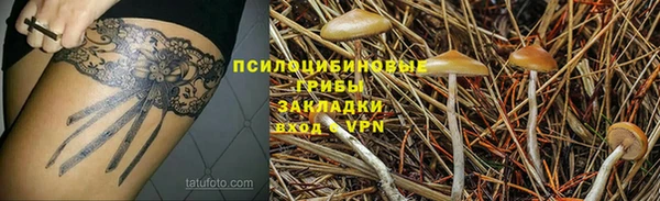 сатива Осинники