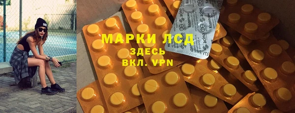 гашик Пестово