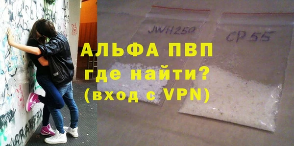 сатива Осинники