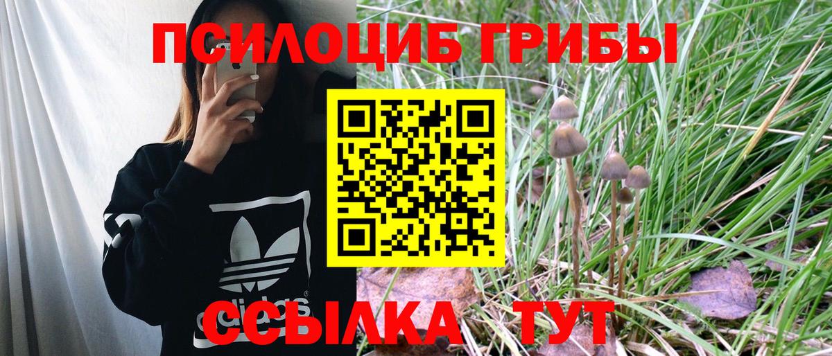 Псилоцибиновые грибы Magic Shrooms  Псилоцибиновые грибы Magic Shrooms  Вход с VPN  Белебей 