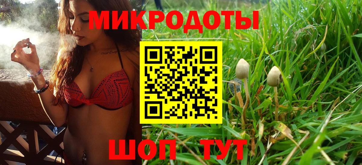 Галлюциногенные грибы Psilocybine cubensis Белебей